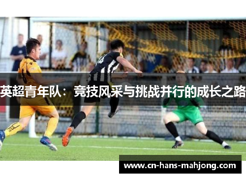 英超青年队：竞技风采与挑战并行的成长之路