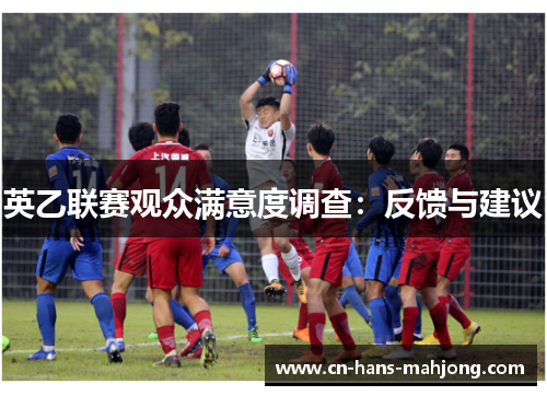 英乙联赛观众满意度调查：反馈与建议