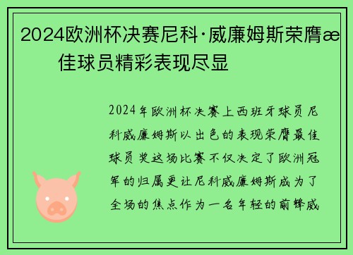 2024欧洲杯决赛尼科·威廉姆斯荣膺最佳球员精彩表现尽显 2024欧洲杯决赛尼科·威廉姆斯荣膺最佳球员精彩表现尽显